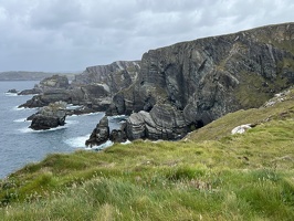 IMG 7387