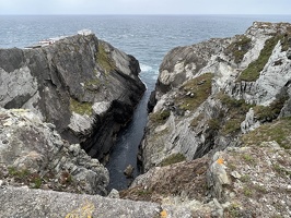 IMG 7393