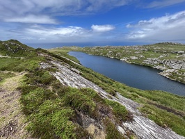 IMG 7401