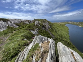 IMG 7403