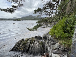 IMG 7425