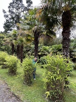 IMG 7428