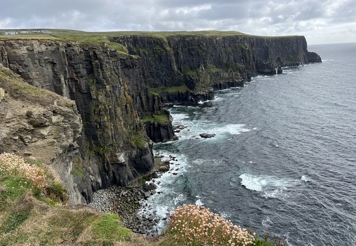Cliffs of Moher und Glendalough