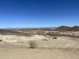 IMG 8569