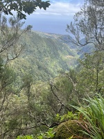 IMG 9717