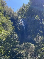 IMG 9742