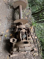 IMG 9762