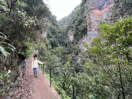 IMG 9772