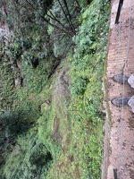 IMG 9775