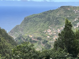 IMG 9778