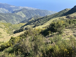 IMG 9780