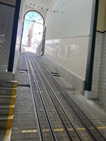 IMG 0055