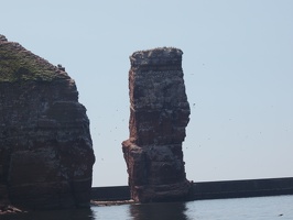 P5019208