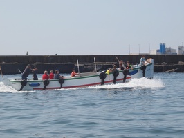 P5019238