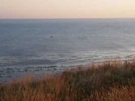 P5019256