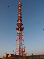 P5019265