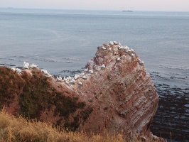 P5019272