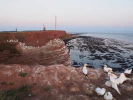 P5019277