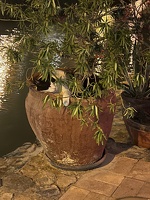 IMG 0714