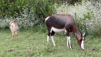 IMG E3506