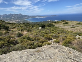 IMG 4786