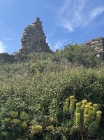IMG 4791