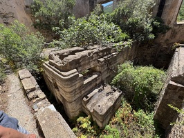 IMG 4795