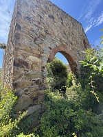 IMG 4797