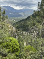 IMG 4826