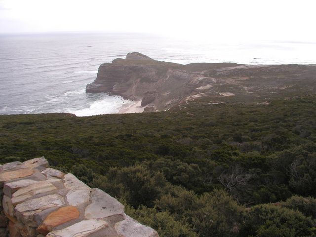 Click to see next picture