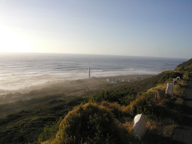 Click to see next picture