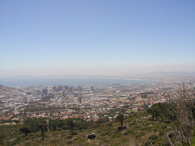 Click to see next picture