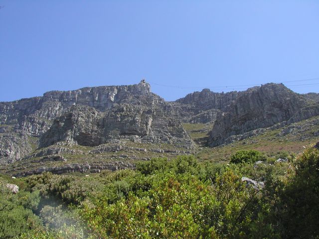 Click to see next picture