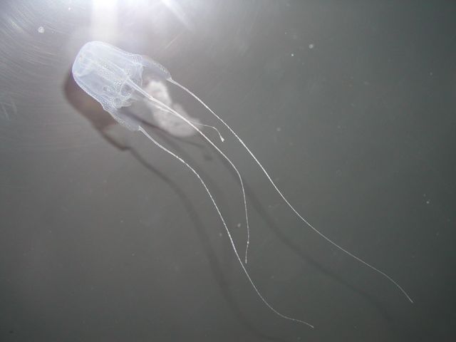 Click to see next picture