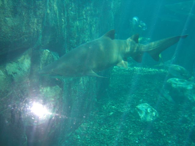 Click to see next picture