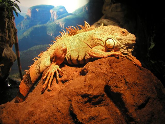 Click to see next picture