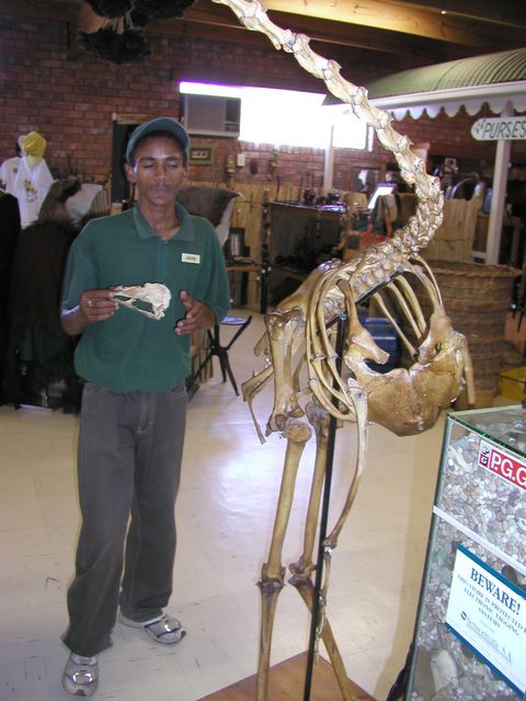 Click to see next picture
