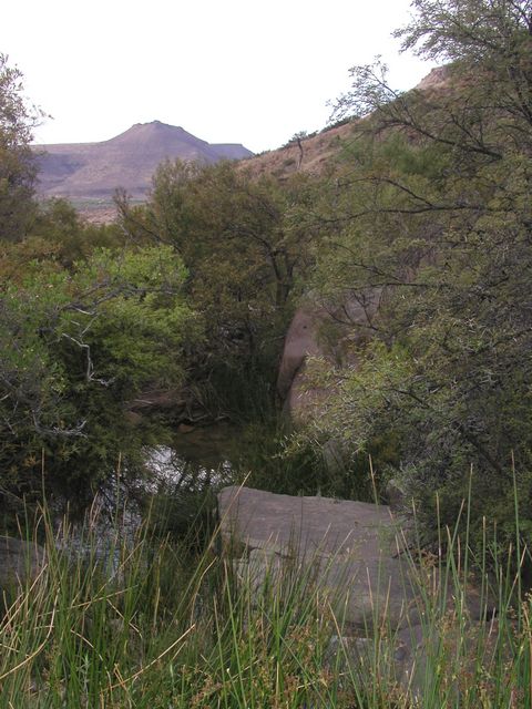 Click to see next picture