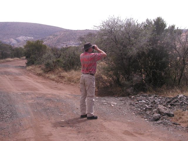 Click to see next picture