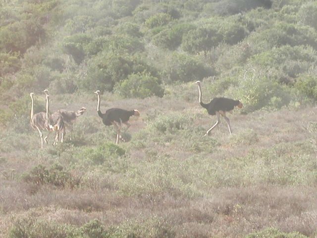 Click to see next picture