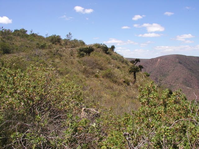 Click to see next picture