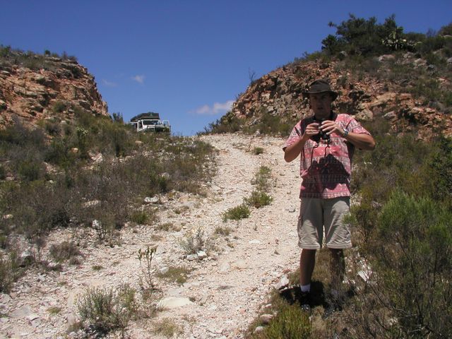 Click to see next picture