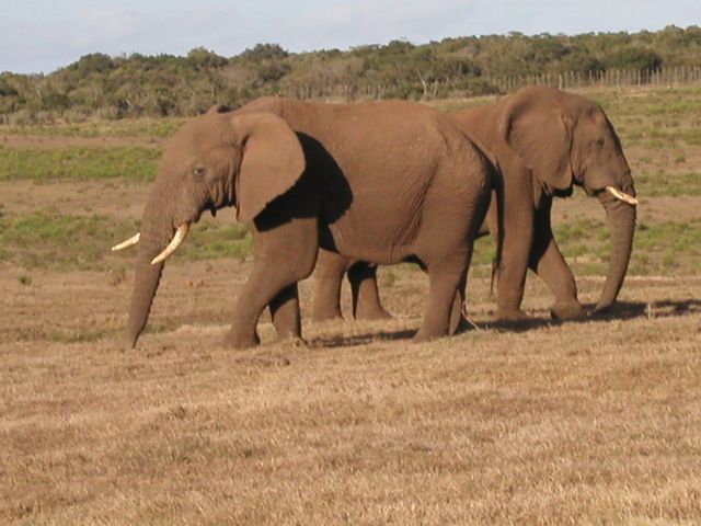 Click to see next picture