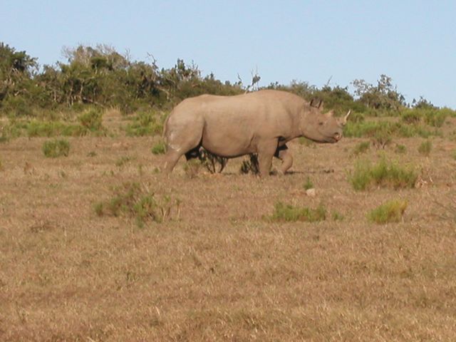 Click to see next picture