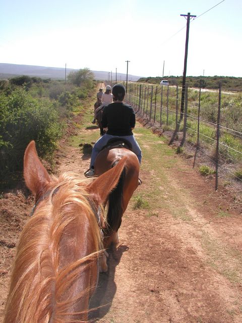 Click to see next picture