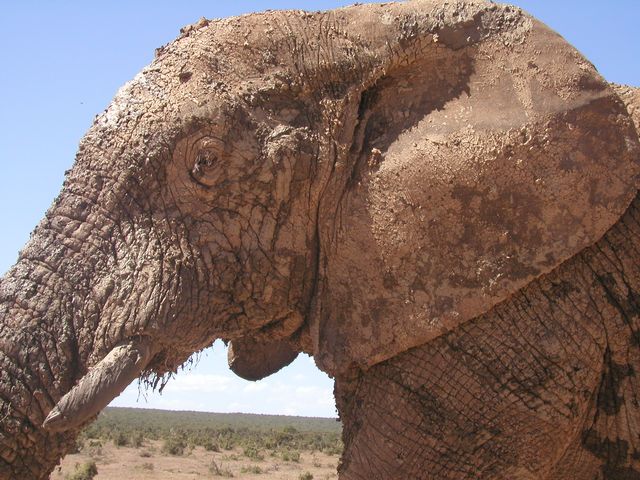 Click to see next picture