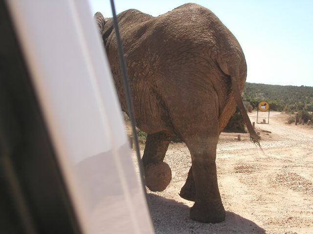 Click to see next picture