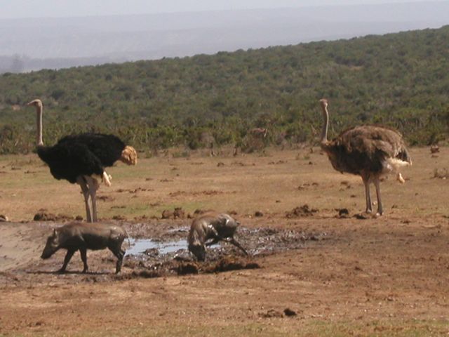 Click to see next picture