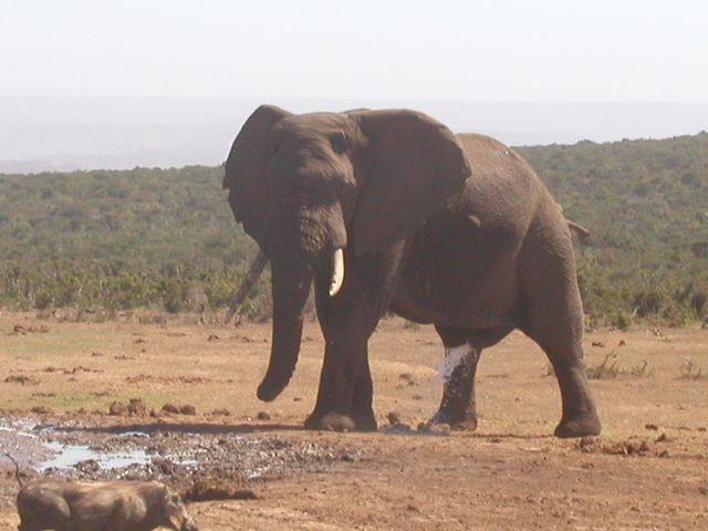 Click to see next picture