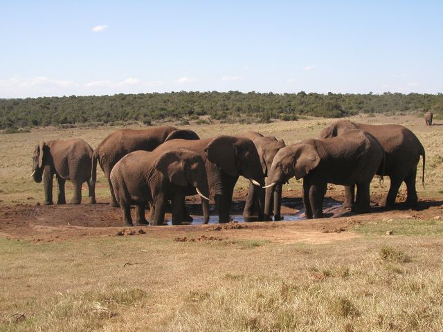 Click to see next picture